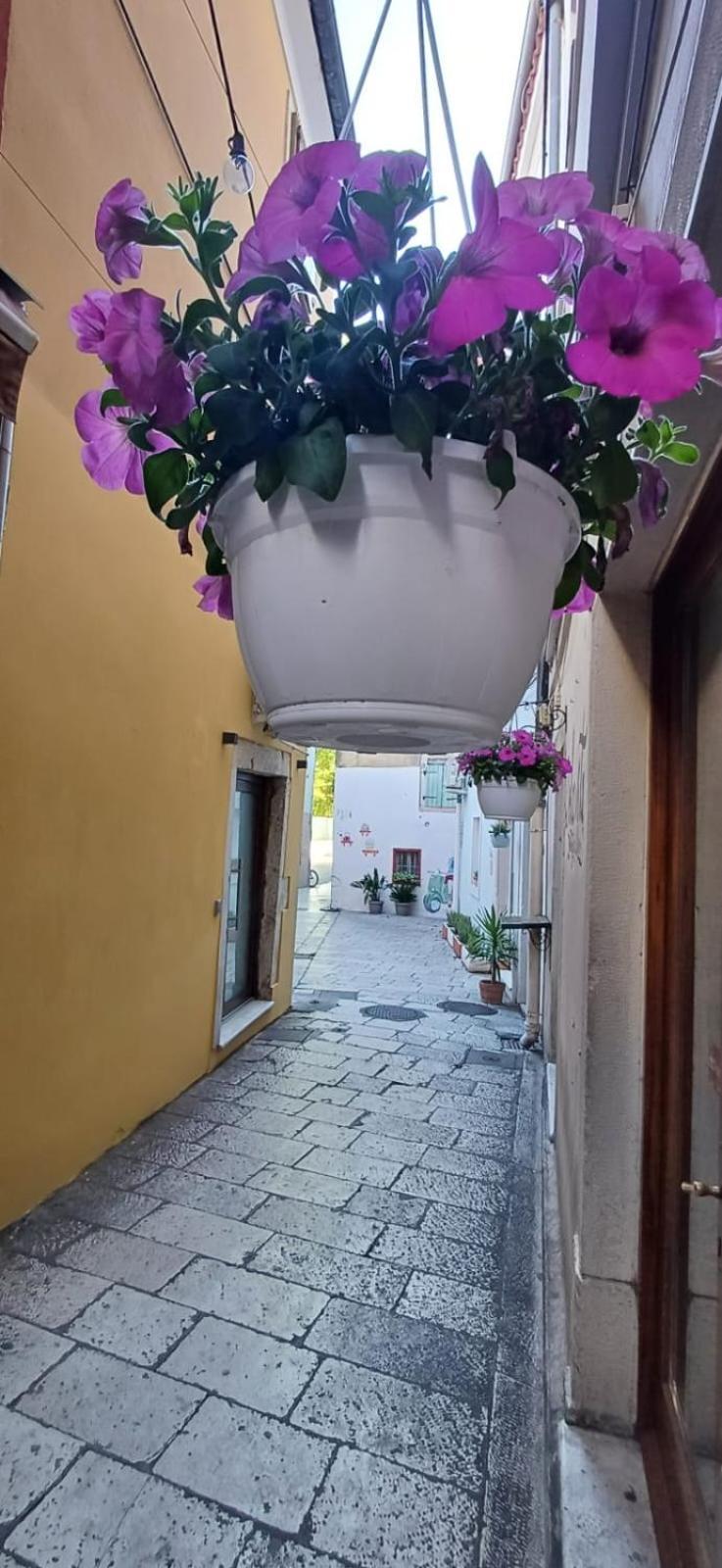Townhouse Sea View Vila Zadar Exterior foto